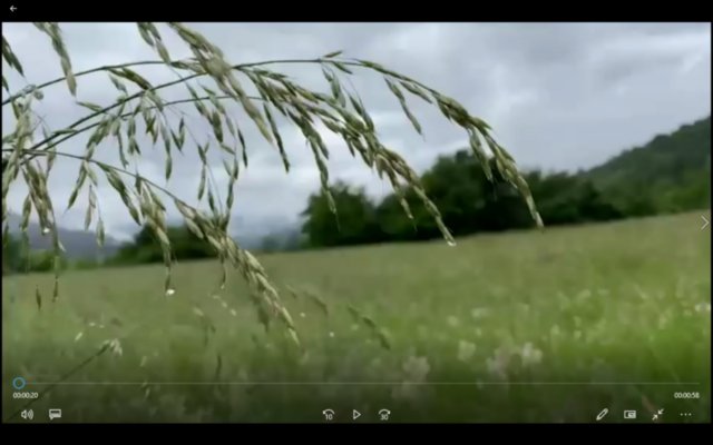 Video dei ringraziamenti